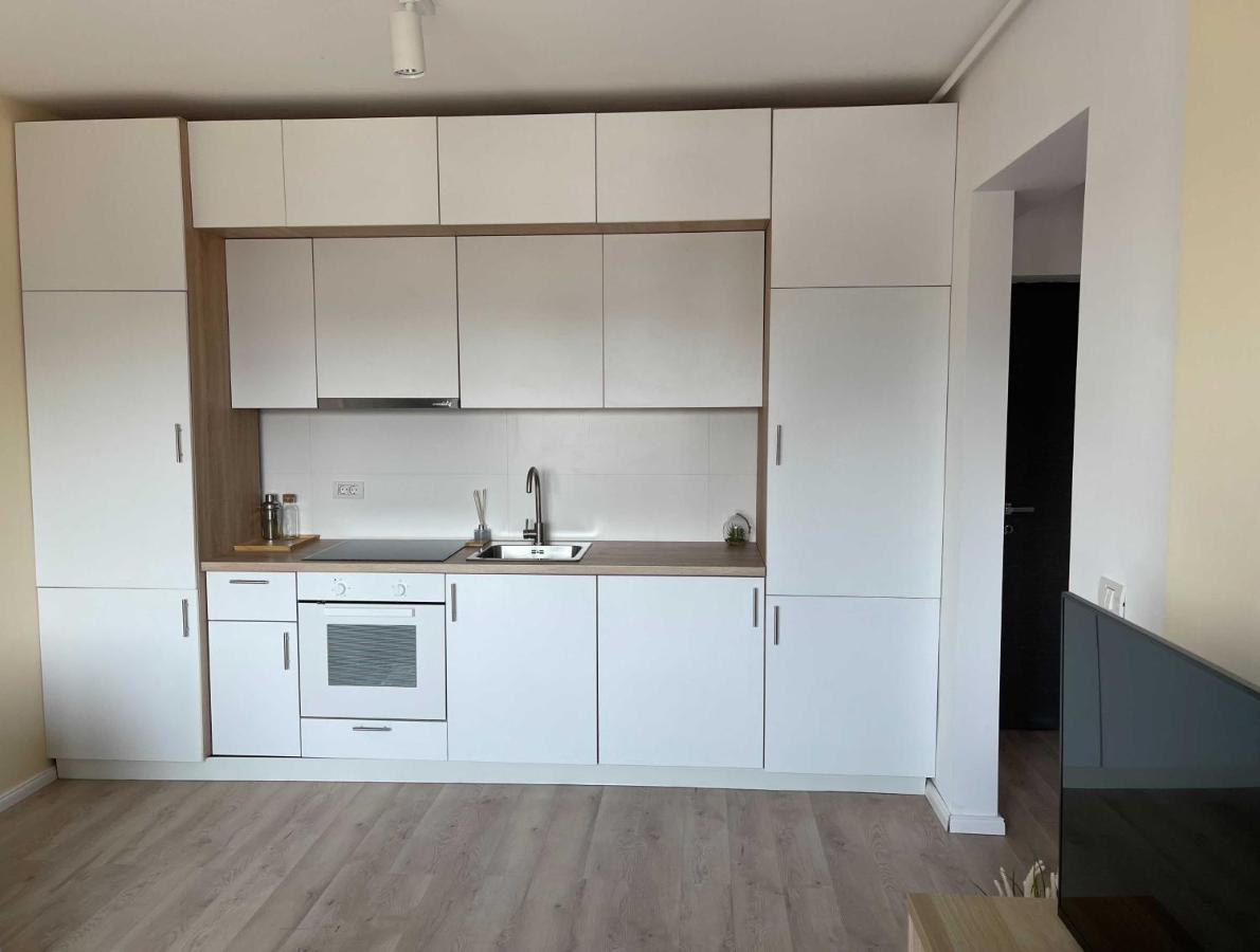 Platinum Luxury Apartment Near Presidential Palace Bukarest Eksteriør billede